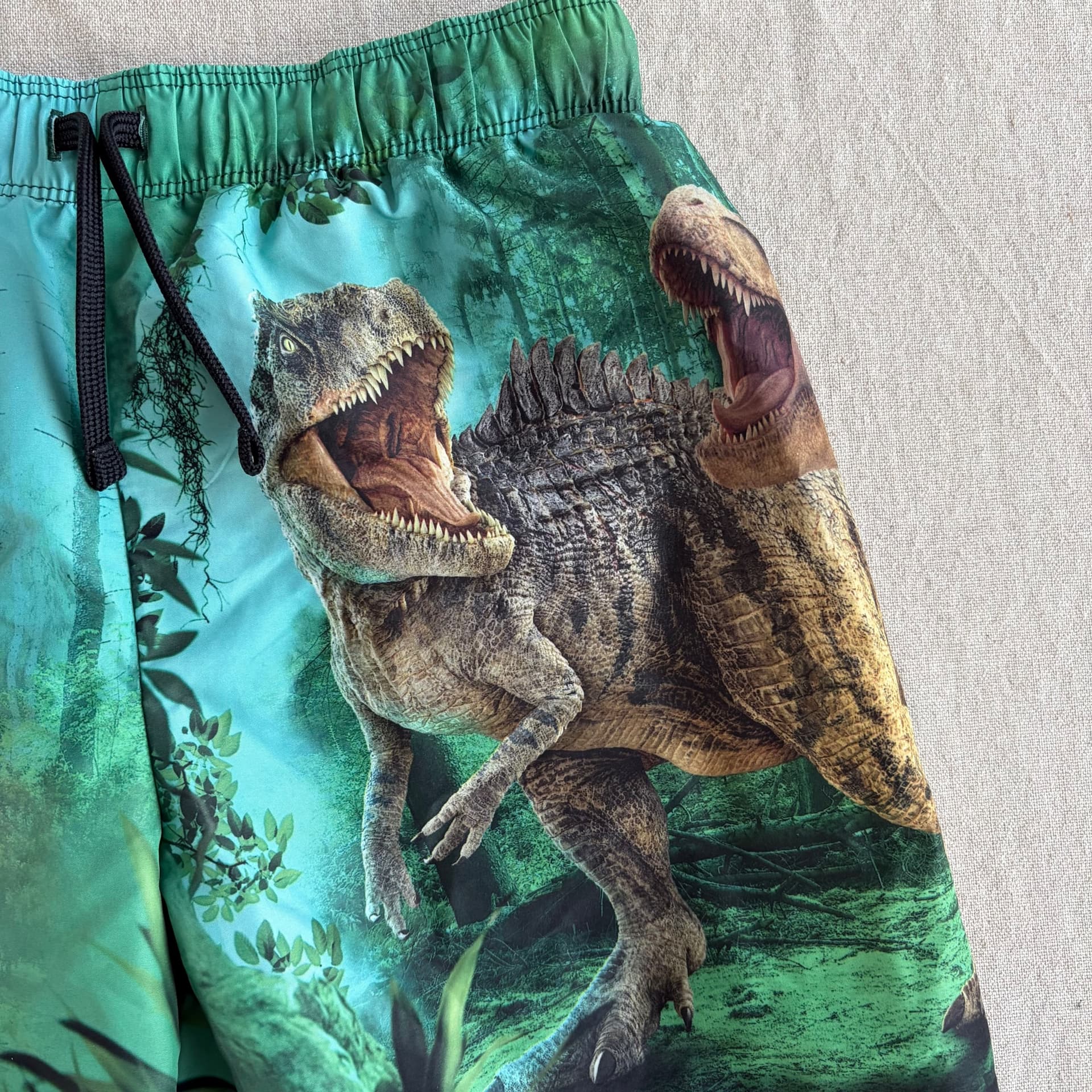 Badeshorts med dinosaurmotiv — bilde 3 av 5