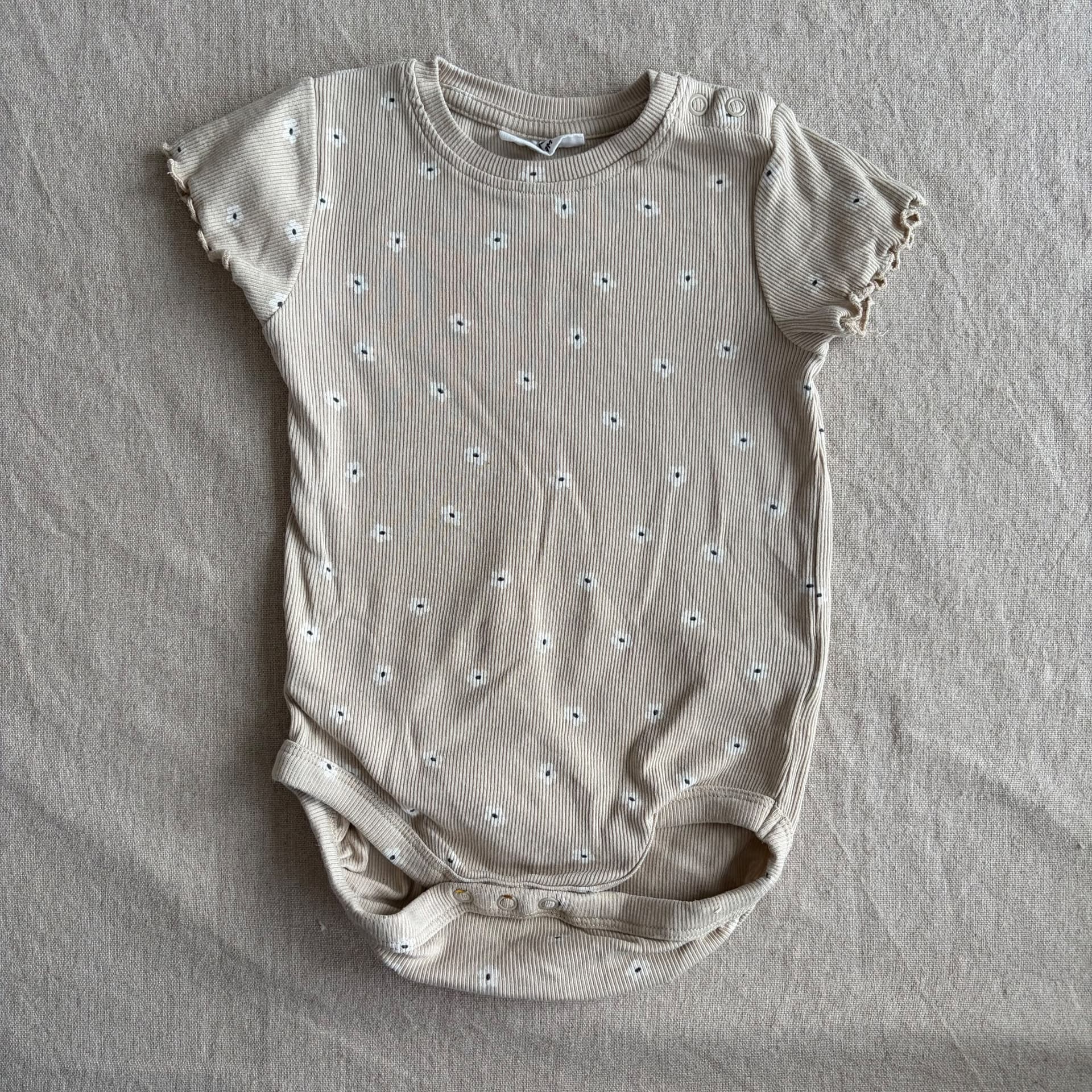 Kortermet body