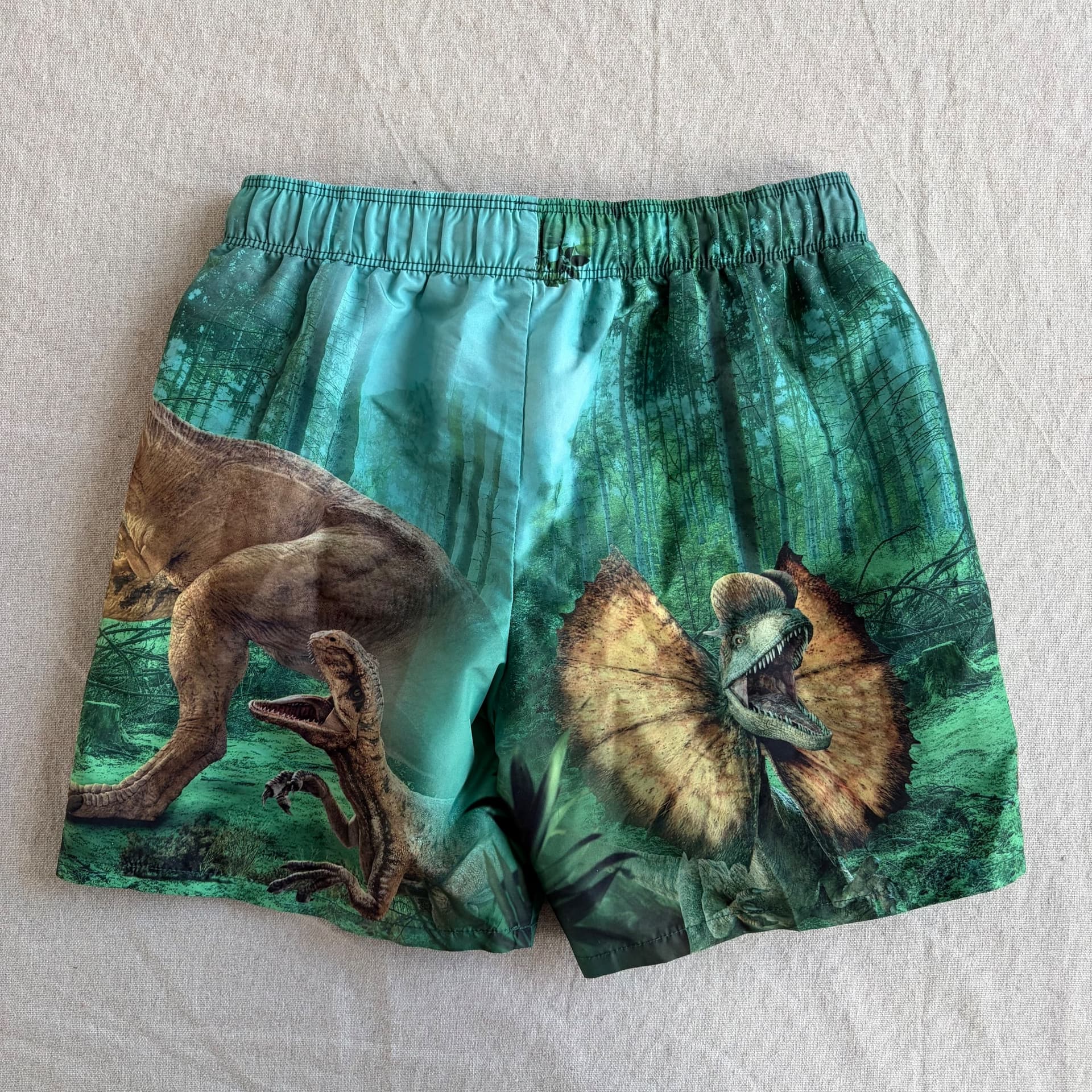 Badeshorts med dinosaurmotiv — bilde 5 av 5